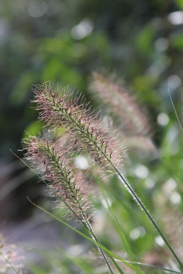 Leuk Boerderijtje Op Prachtige Plek, Nabij Natuurgebied Ruurlo Exterior foto